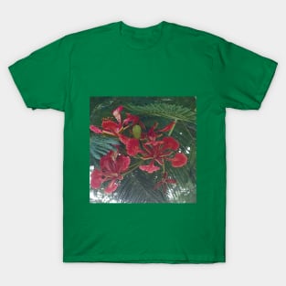 Poinciana T-Shirt